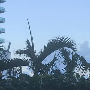 Meet your Posher, Yelena